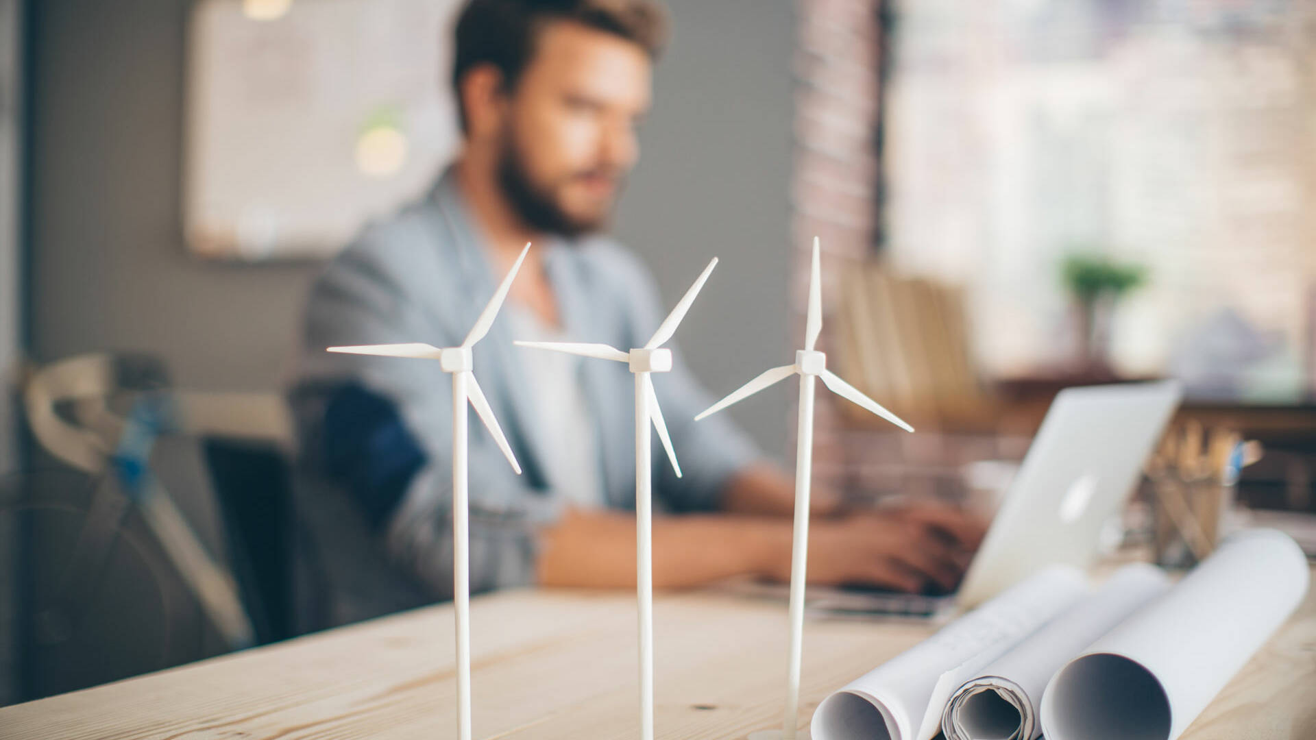 sustainability consultant