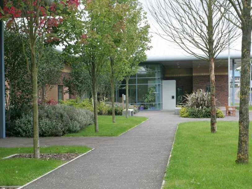 Woodlands 7